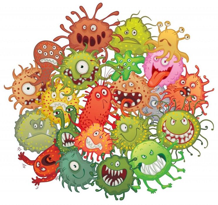 microbi e vermi umani come rimuoverli