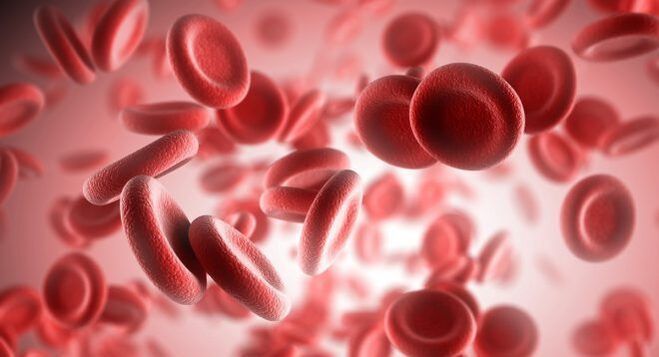 L'anemia è un segno di elminti nel corpo