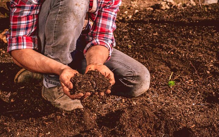 Infezione da parassita attraverso il terreno