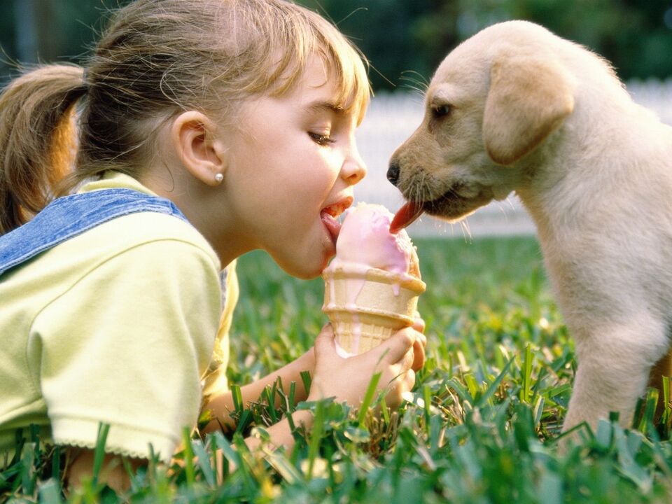 la ragazza e il cane mangiano il gelato e si infettano con i parassiti