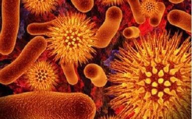 microrganismi parassiti nel corpo umano